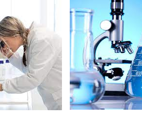 lab